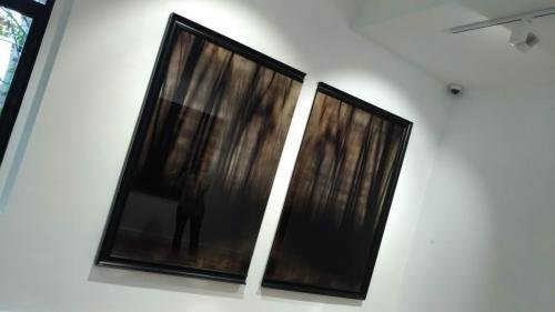 P 20191212 161046 vHDR Auto