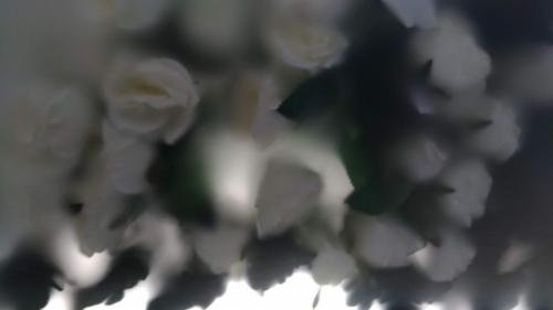 P 20191212 161143 vHDR Auto