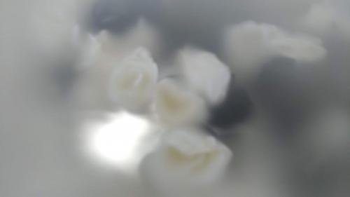 P 20191212 161209 vHDR Auto