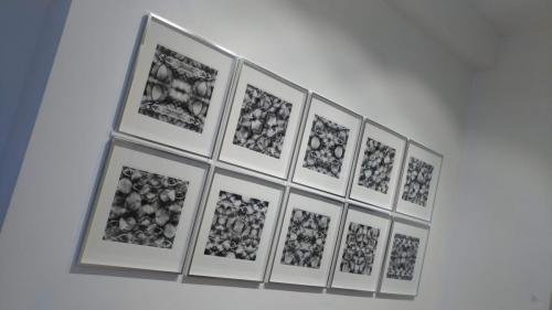 P 20191212 161339 vHDR Auto