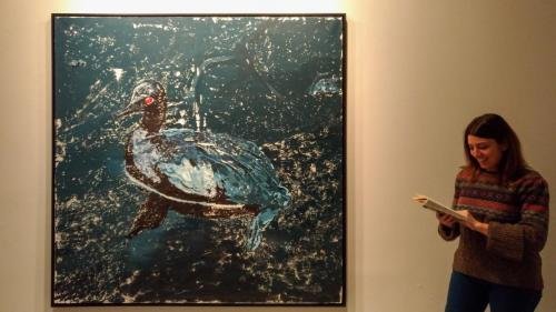 P 20171209 122136 vHDR Auto