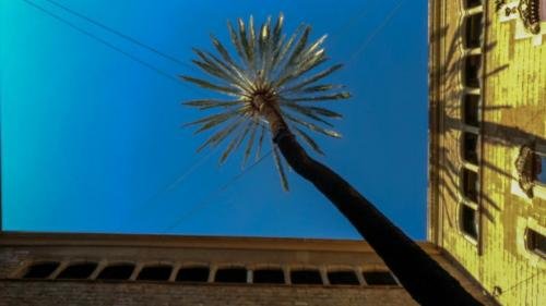 P 20171017 155127 vHDR Auto