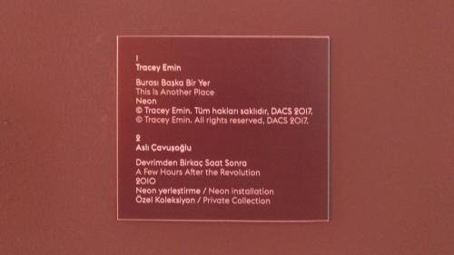 P 20170610 161641 vHDR Auto