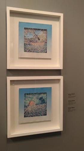 21 P 20170915 132048 vHDR Auto