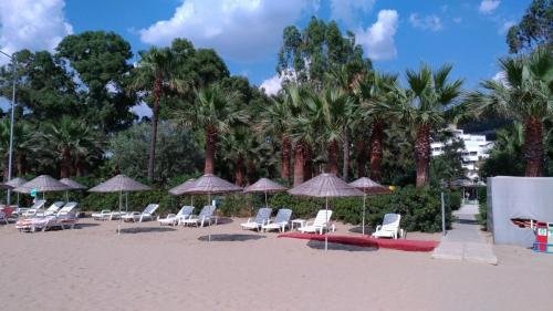 P 20170620 162220 vHDR Auto