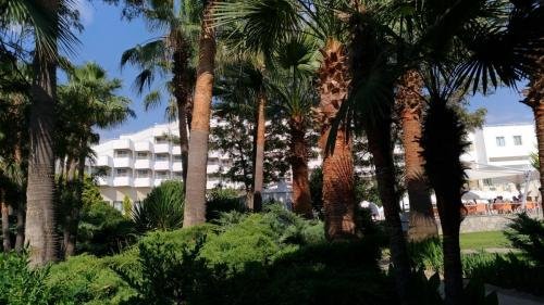 P 20170620 170739 vHDR Auto