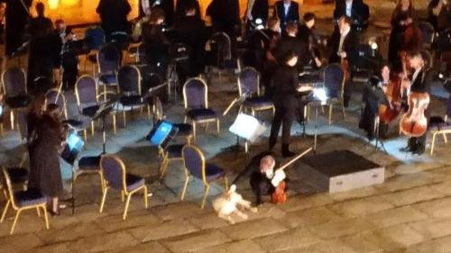 P 20170620 225012 vHDR Auto