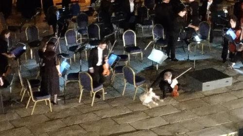 P 20170620 225015 vHDR Auto