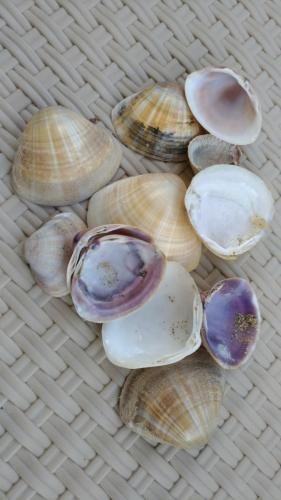 P 20170621 093817 vHDR Auto