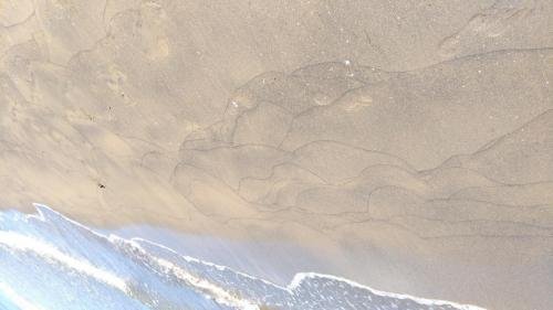 P 20170621 101341 vHDR Auto