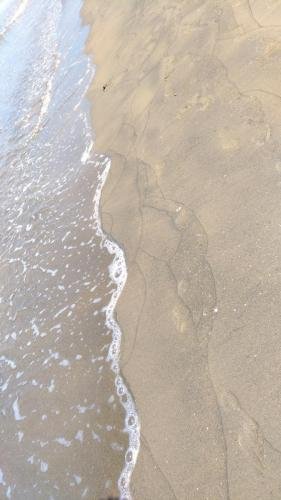 P 20170621 101344 vHDR Auto