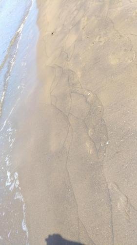 P 20170621 101350 vHDR Auto