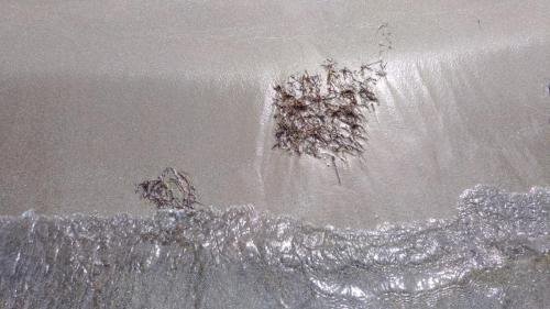 P 20170621 103646 vHDR Auto