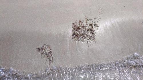 P 20170621 103651 vHDR Auto