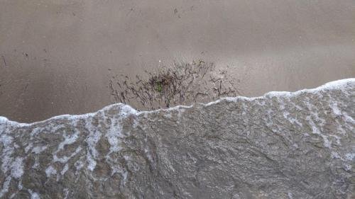 P 20170621 104051 vHDR Auto