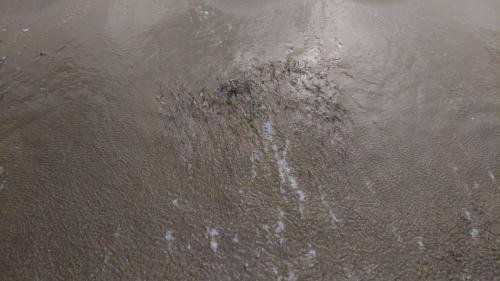 P 20170621 104100 005