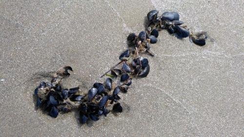 P 20170621 104244 vHDR Auto