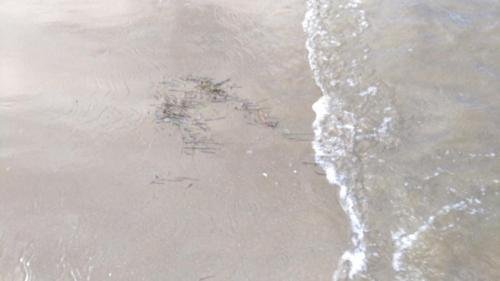 P 20170621 104434 vHDR Auto