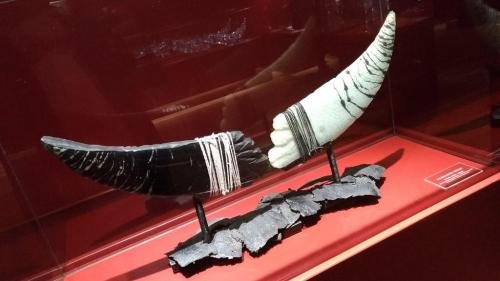 P 20191025 110034 vHDR On