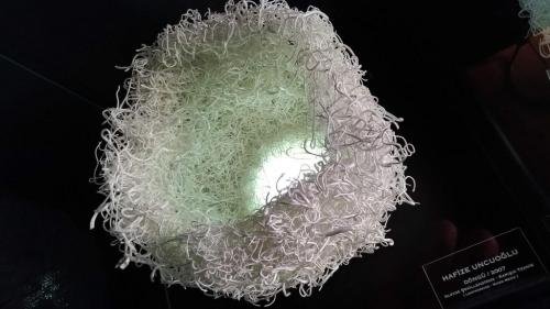 P 20191025 110703 vHDR On