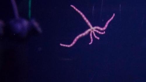 P 20191026 101649 vHDR On