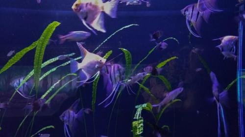 P 20191026 101837 vHDR On