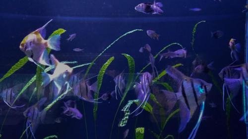 P 20191026 101841 vHDR On