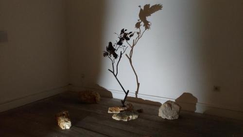 P 20180214 113630 vHDR Auto