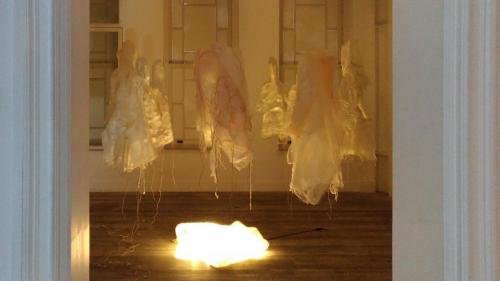 P 20180214 113707 vHDR Auto