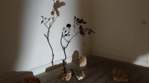 P 20180214 113727 vHDR Auto