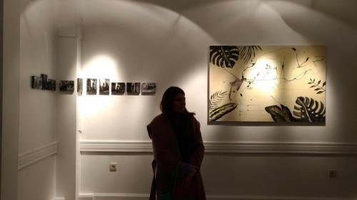 P 20180214 113826 vHDR Auto