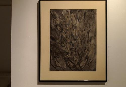 P 20180214 114542 vHDR Auto