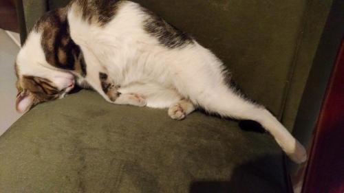 P 20170916 125447 vHDR Auto