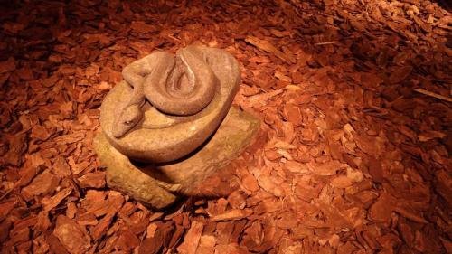 P 20170610 162407 vHDR Auto