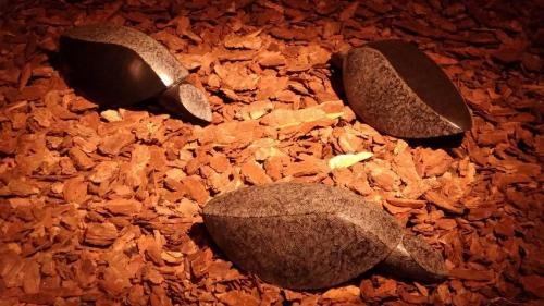 P 20170610 162542 vHDR Auto