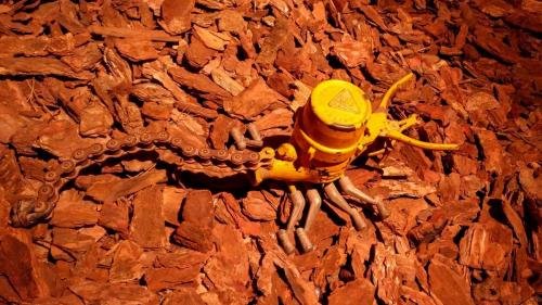 P 20170610 162859 vHDR Auto