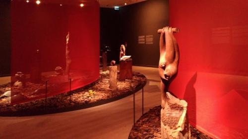 P 20170610 163048 vHDR Auto