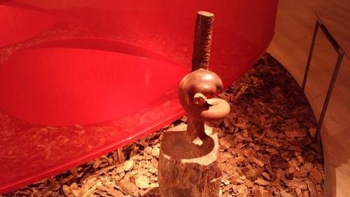 P 20170610 163131 vHDR Auto