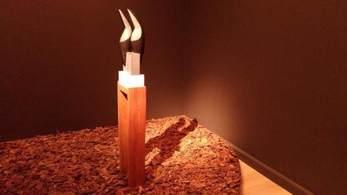 P 20170610 163319 vHDR Auto