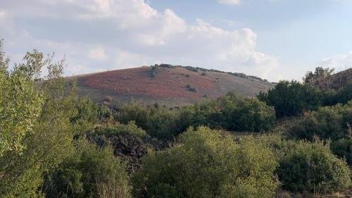 IMG-20211103-WA0236 edit 180166371966774