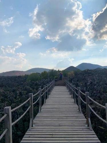 IMG-20211103-WA0246 edit 180306491453211