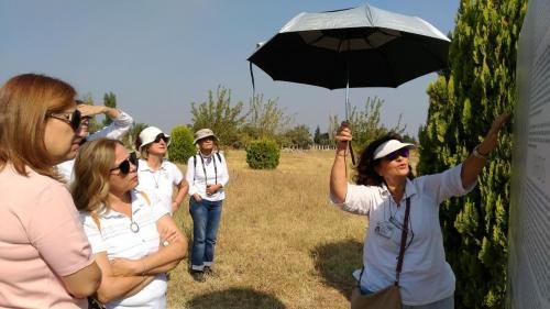 P 20170928 112249 vHDR Auto