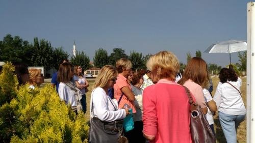 P 20170928 112300 vHDR Auto