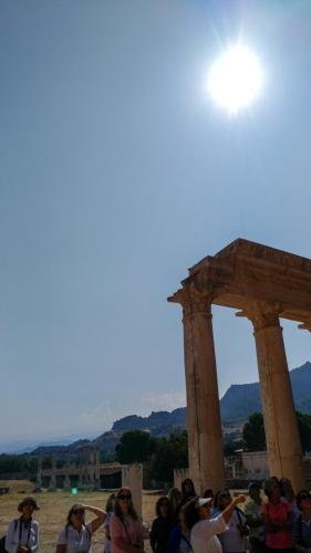 P 20170928 121744 vHDR Auto