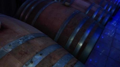 P 20170928 175832 vHDR Auto