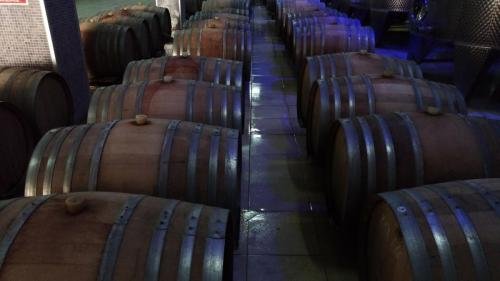 P 20170928 175908 vHDR Auto