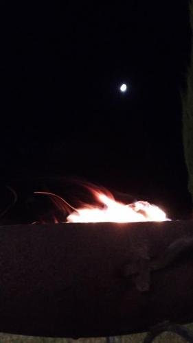 P 20170928 215815 007