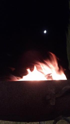 P 20170928 215815 009