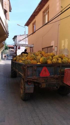 P 20170929 104540 vHDR Auto