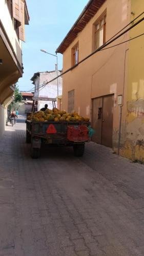 P 20170929 104541 vHDR Auto